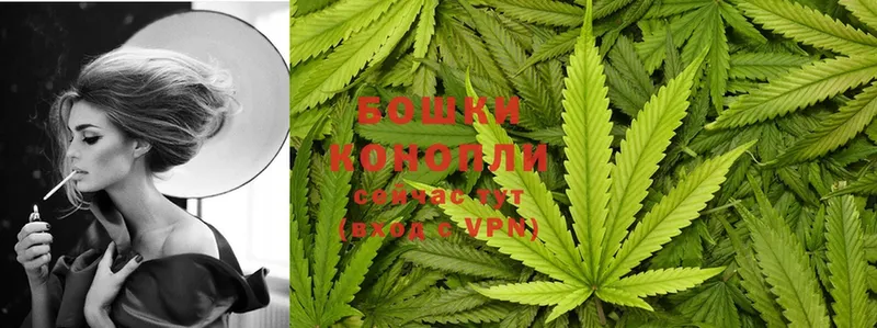 где купить наркоту  Волоколамск  Конопля White Widow 